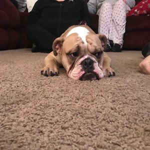 Meet your Posher, Emily